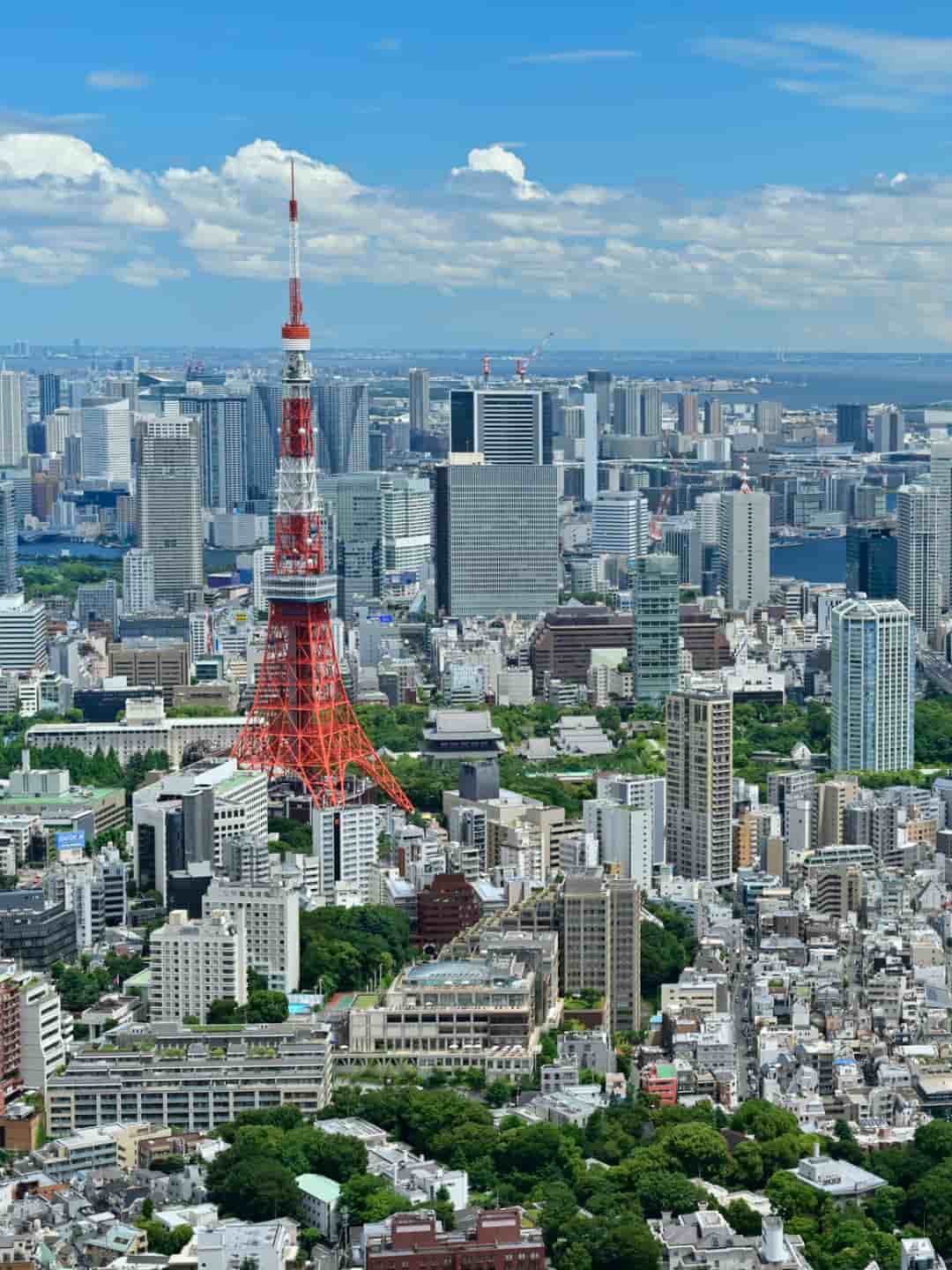 東京タワーと都心の街並み